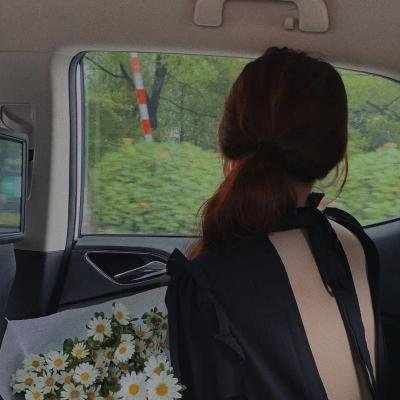 重生之天下為聘